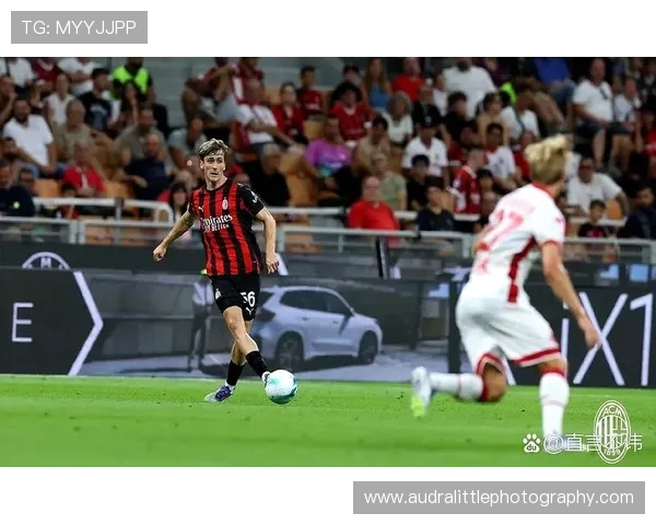 世界杯黑马球队近期表现稳健，竞争力持续提升