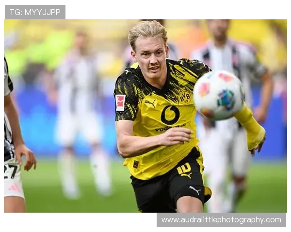 布兰特进球数据