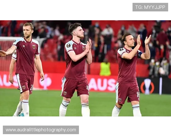 帕利尼亚 vs 赖斯：覆盖能力与全面性的对比