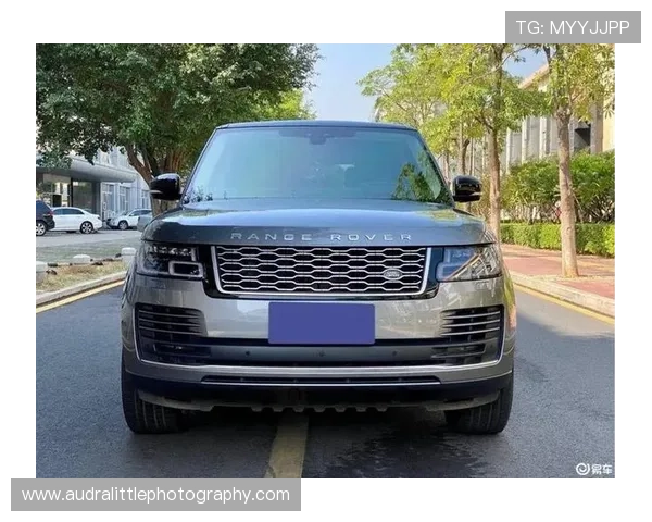 王昶又买新车了？隔壁小区都看傻眼了，这消费日常咋跟普通人差那么多