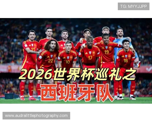 世界杯H组冠军热门球队是谁 世界杯H组冠军热门球队是谁