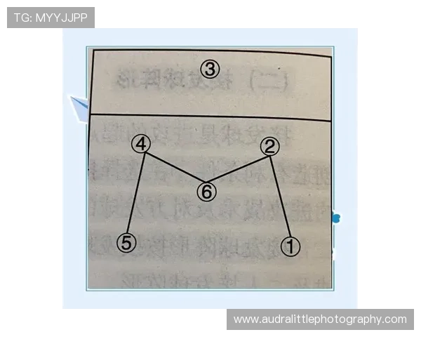 L组球队战术打法全面解析 L组球队战术打法全面解析